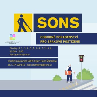 Odborné poradenství 